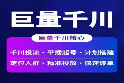 企业SEM服务实战案例解析